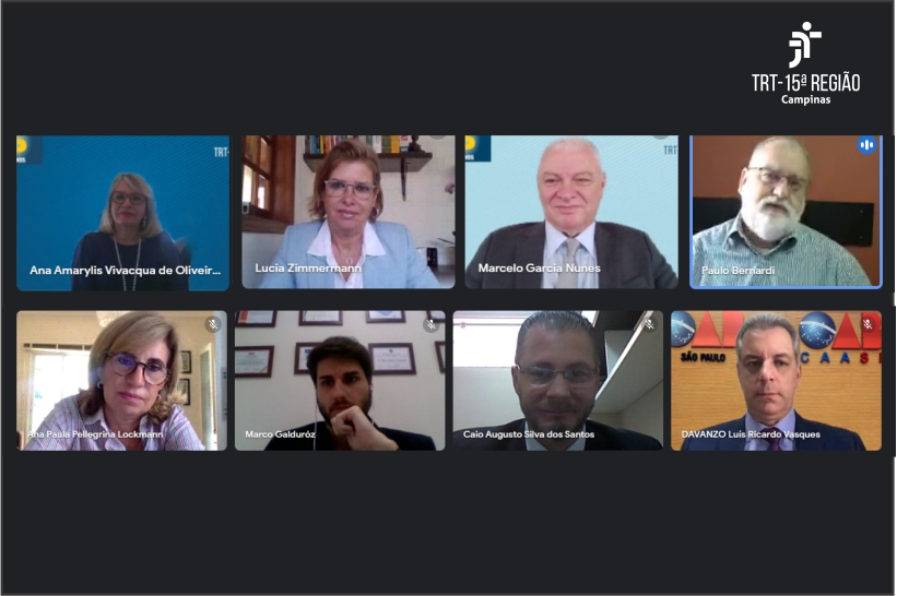 participantes da reunião virtual na tela