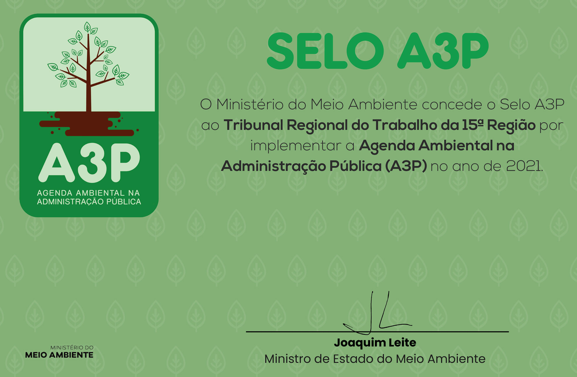 Imagem do certificado em que o Ministério do Meio Ambiente informa ter concedido o selo A3P ao TRT da 15ª Região