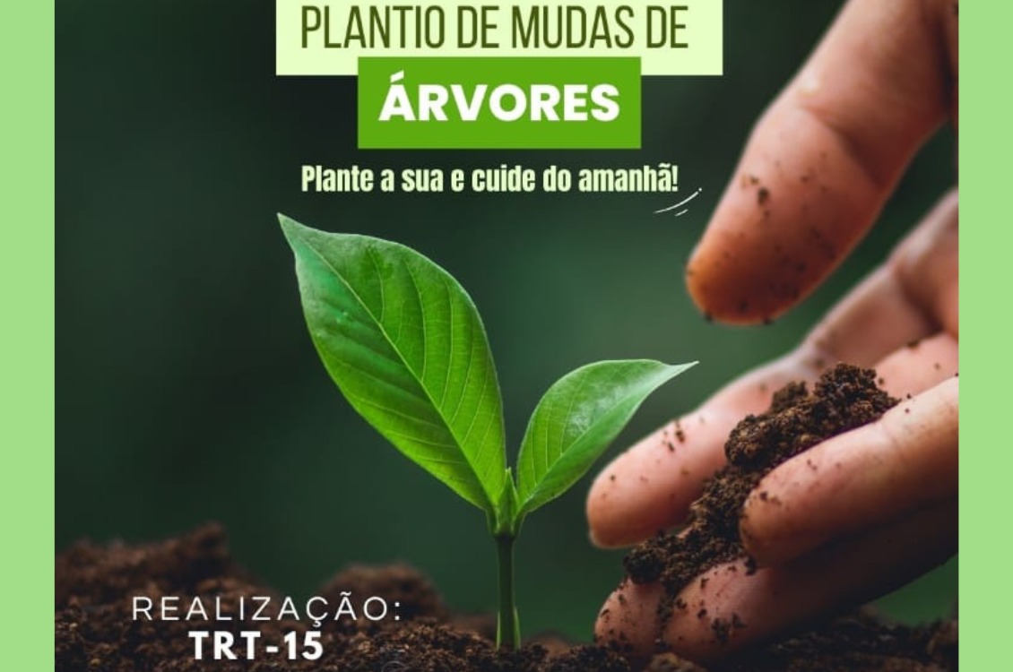 Banner da campanha: mão colocando terra em uma muda.