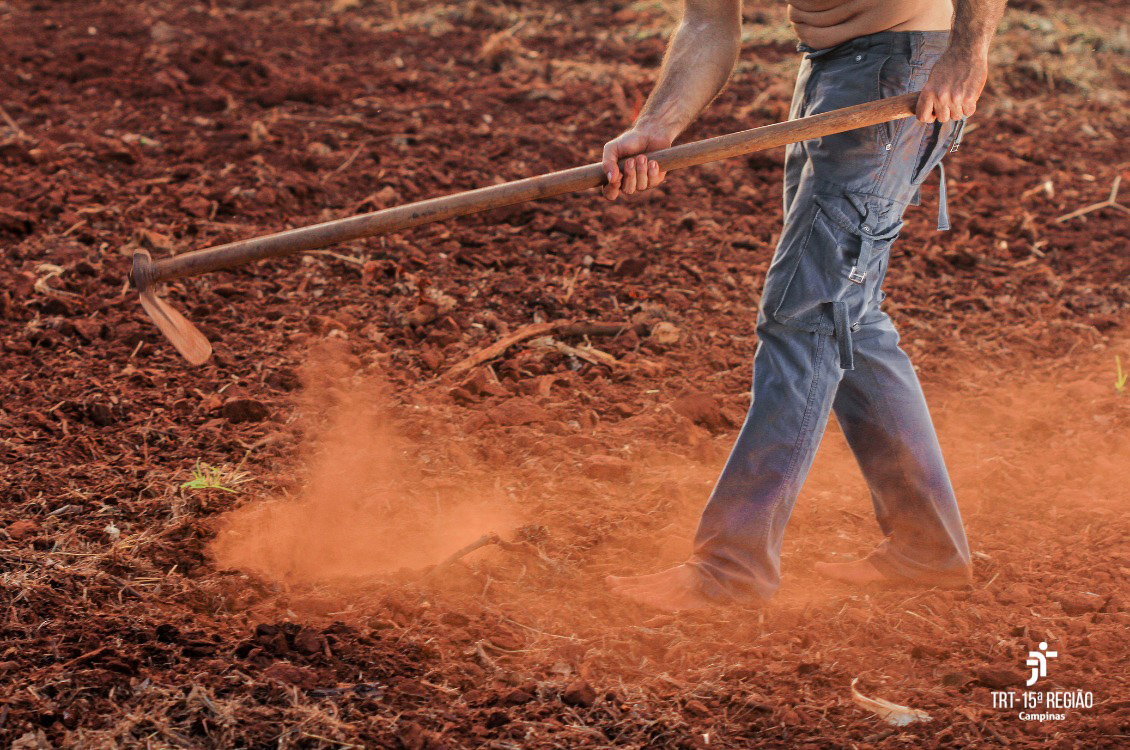 trabalhador manuseia uma enxada em solo avermelhado, levantando poeira, em alusão ao trabalho rural. A marca do TRT-15 aparece no canto inferior direito