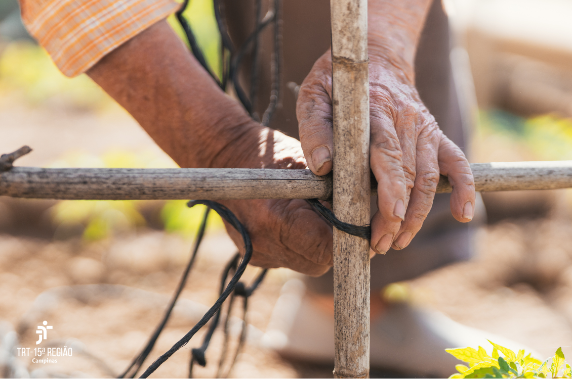 mãos masculinas calejadas amarram cerca de uma fazenda.