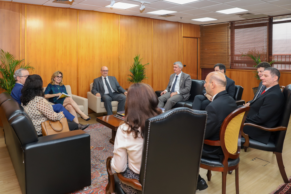 Reunião no Gabinete da Presidência. Todos sentados em poltronas. Dra. Ana Paula está no sofá conversando e segurando um livro. 