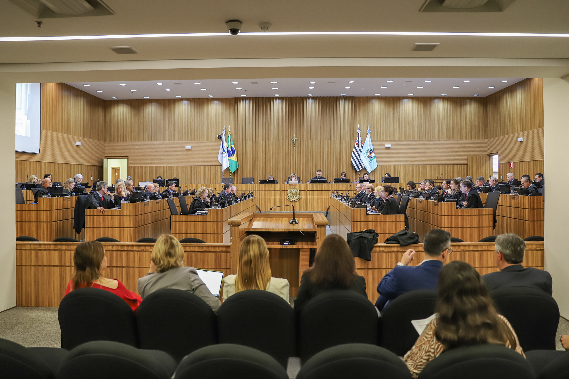 plenário com os desembargadores com sessão presidida pela Dra. Ana Paula