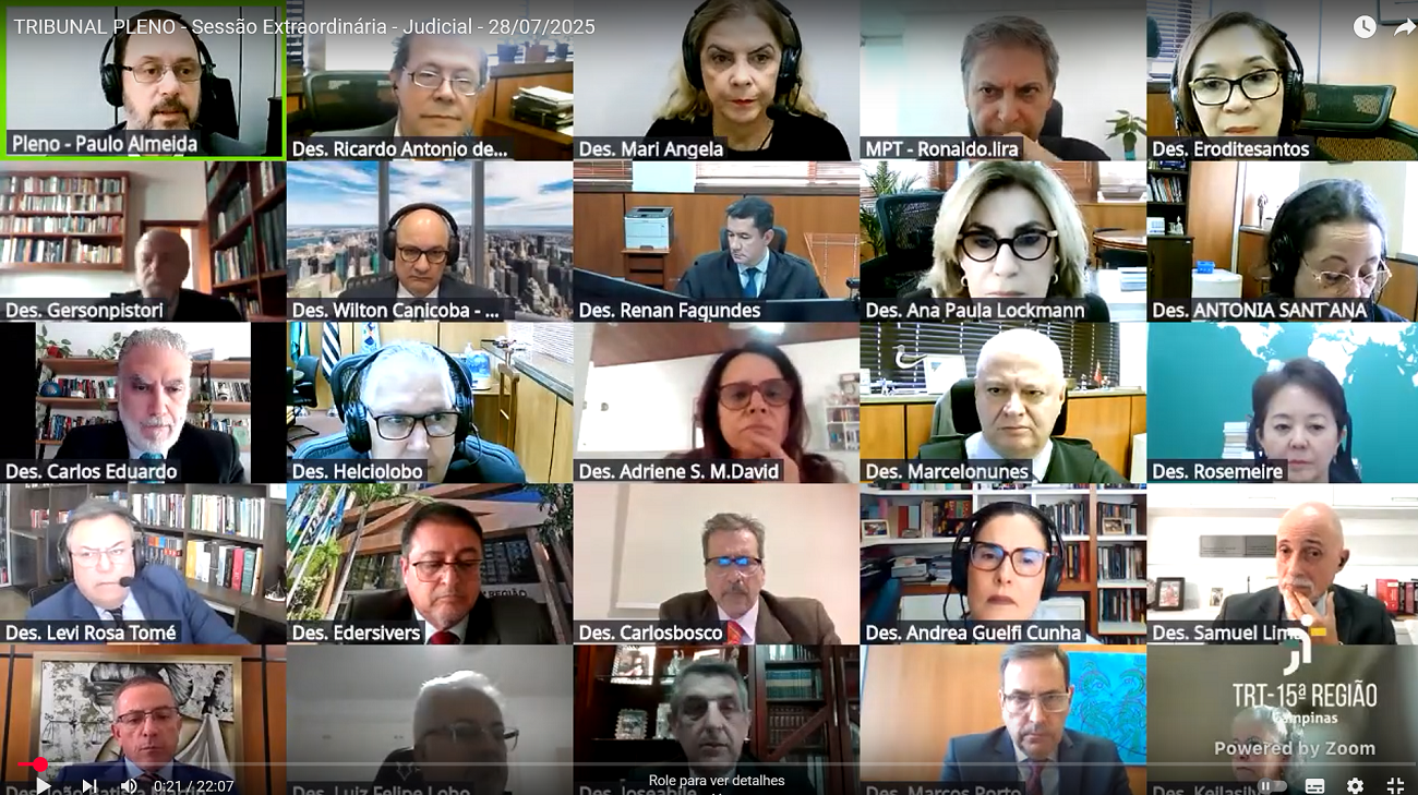 *ParaTodosVerem: print da tela de reunião online, com pequenas imagens dos participantes. 
