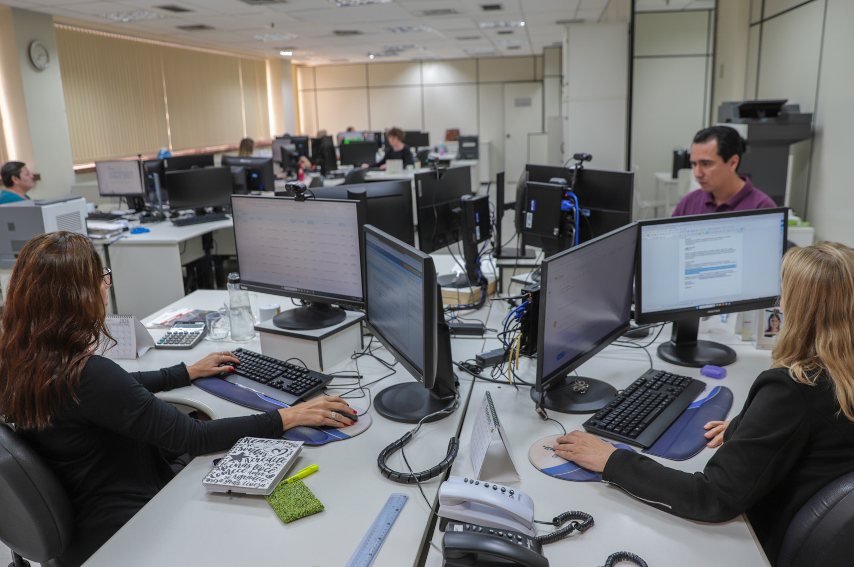 servidores da assessoria de precatórios estão trabalhando em seus computadores