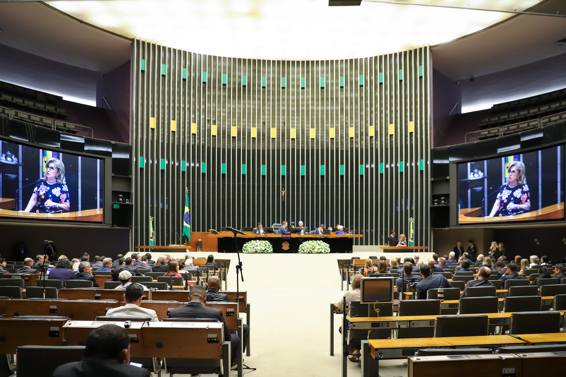 Imagem de plano aberto da sessão com a Dra. Paula nos dois telões, à esquerda e à direita.
