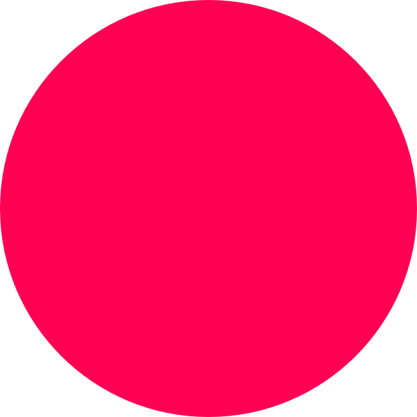 White Circle Vector