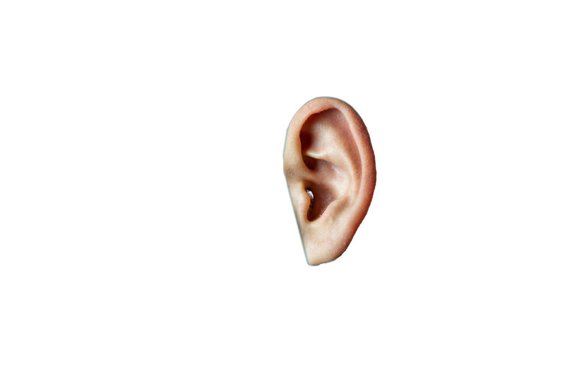 Creative shot of human ears on dark background