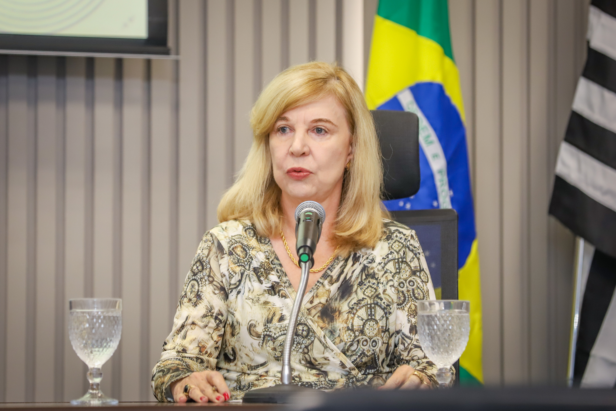 "A desembargadora Antônia fala ao microfone, sentada à mesa de trabalhos"