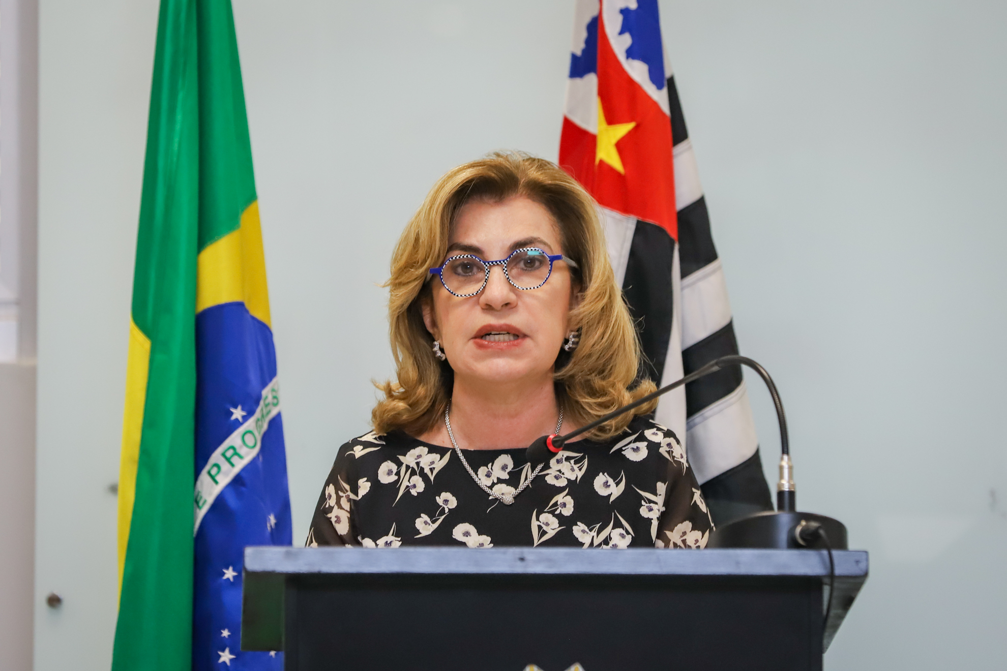 "A presidente do TRT-15 fala ao microfone"