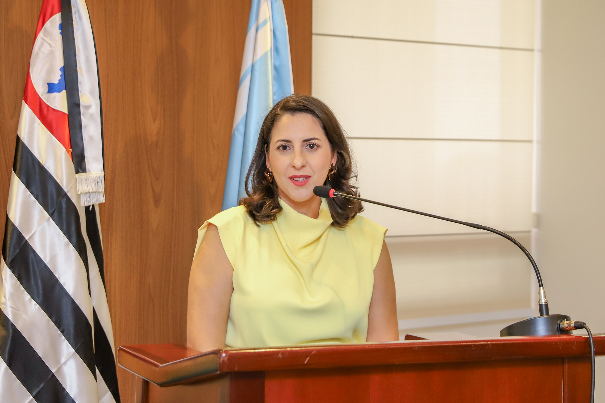 "Juíza Iara está falando ao microfone no púlpito, na frente de um painel de madeira e bandeiras do Estado e do Brasil"