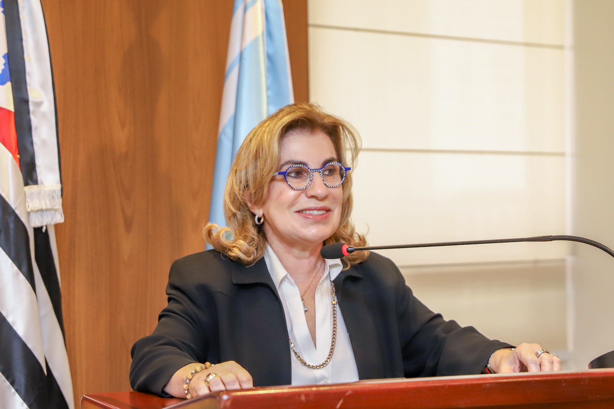 "Dra. Ana Paula fala ao microfone no púlpito, em frente a um painel de madeiras e bandeiras dispostas"