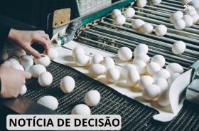 Funcionário seleciona ovos brancos em uma esteira industrial, em ambiente de produção alimentícia.
